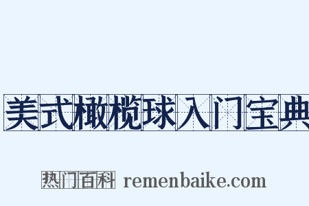美式橄榄球入门宝典是什么意思的图片